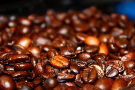 Coffee Beans in Macro Lens photo