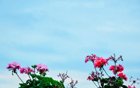 Free stock photo from Tookapic