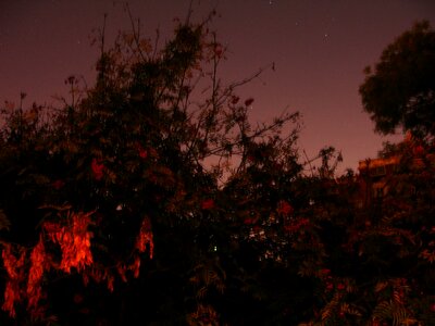 Free stock photo of light, night, sky