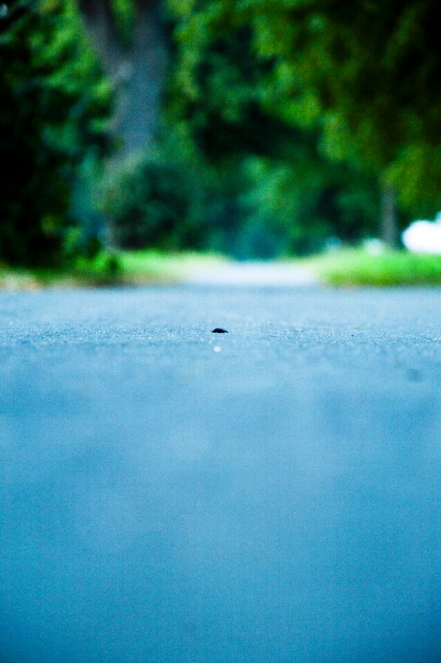 Free stock photo from Tookapic