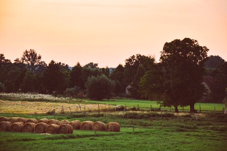 Free stock photo of countryside, dawn, dusk photo