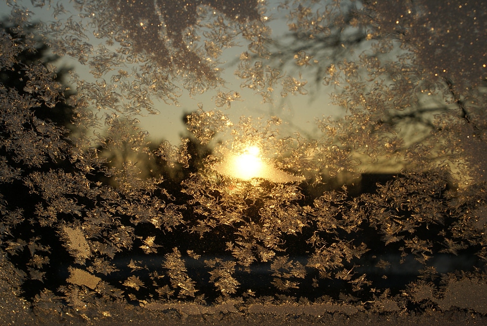 Frozen frosty window