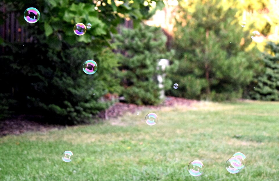 Free stock photo of bubbles, grass, lawn