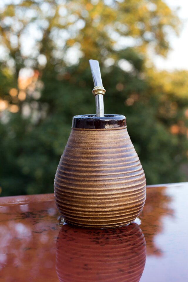 Free stock photo of chill, holidays, mate