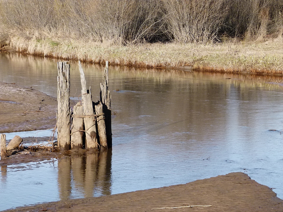 Marshland wetland landscape