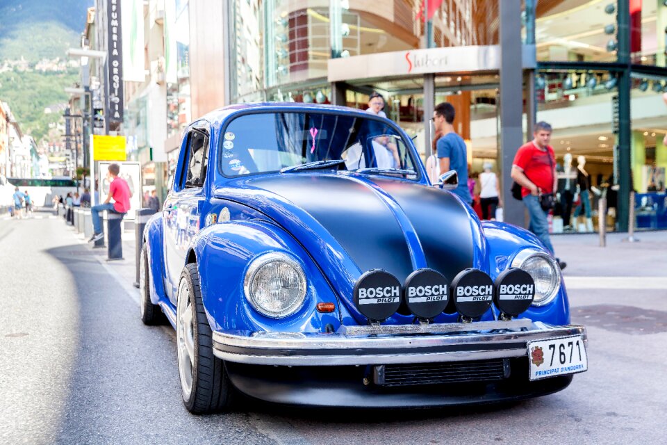 Free stock photo of andorra, andorre, beetle