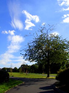 Free stock photo of cloud, clouds, color