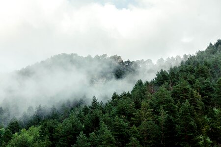 Free stock photo of andorra, cloud, fog photo