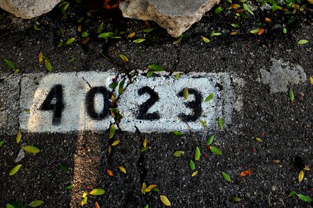 Free stock photo of 4023, leafs, number