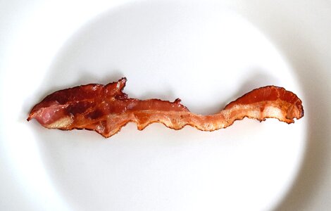 Free stock photo of bacon, fried bacon photo