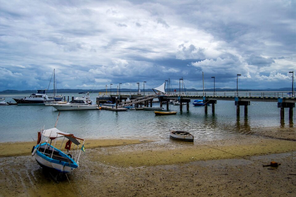 Free stock photo of boat, marina