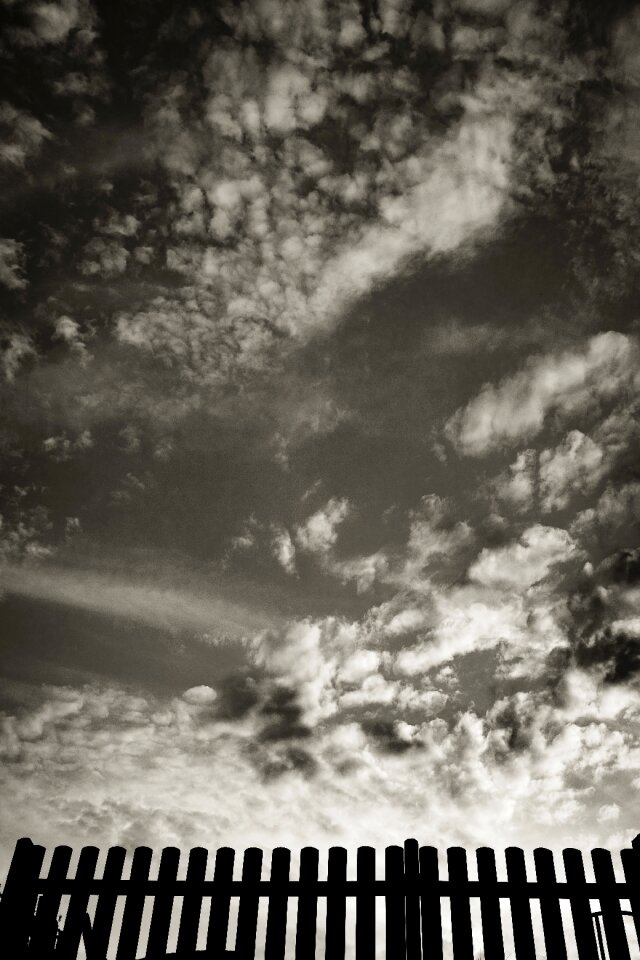 Free stock photo of sky