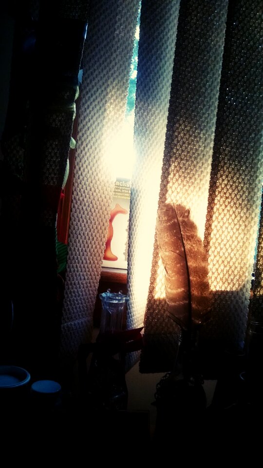 Free stock photo of curtains, sun