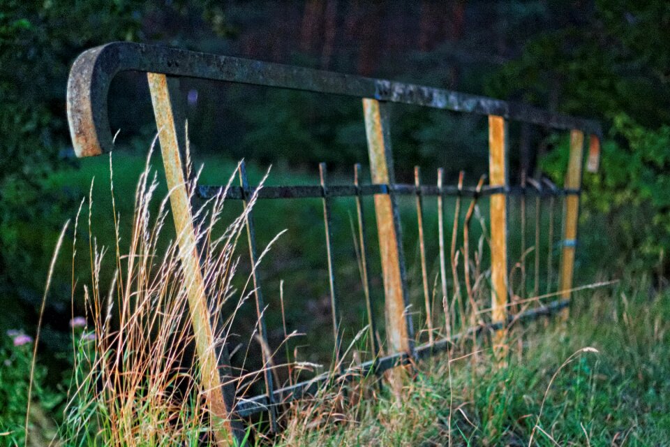 Free stock photo of fence
