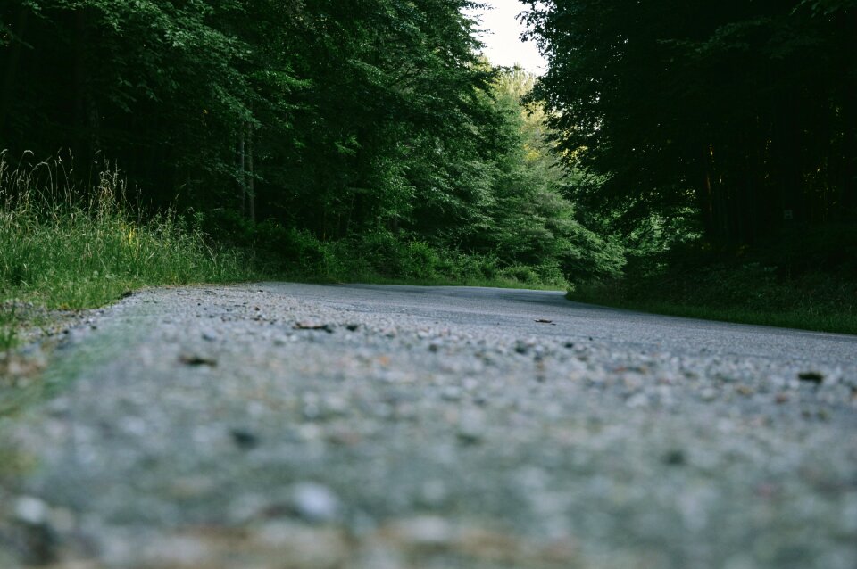 Free stock photo of forest, road, roads
