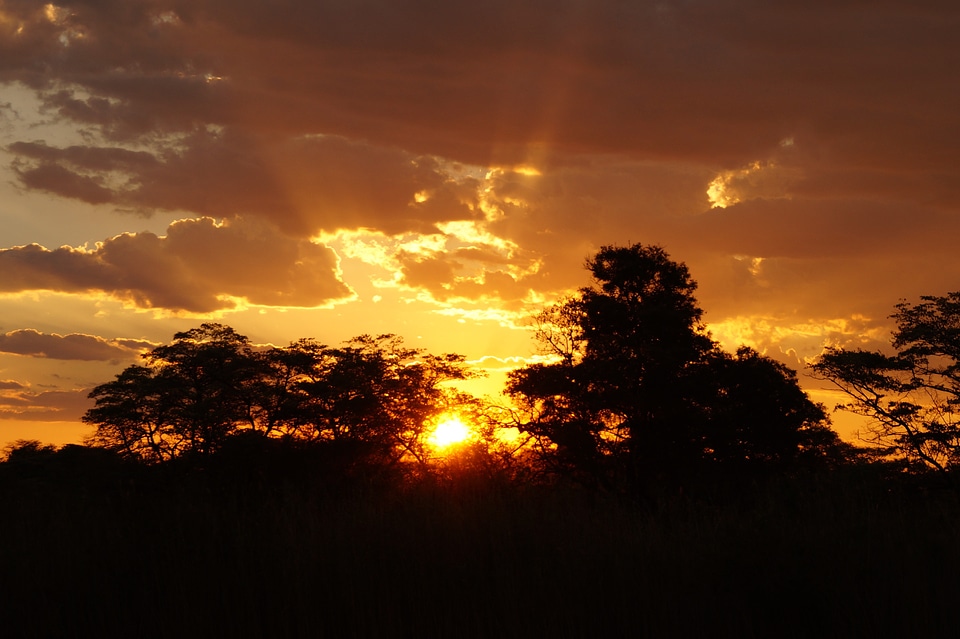 Africa botswana okavango