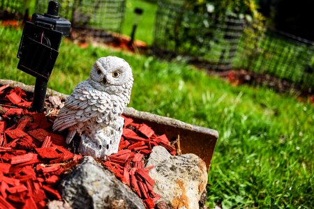 Free stock photo from Tookapic
