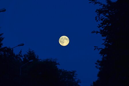 Free stock photo of blue moon, full moon, moon photo