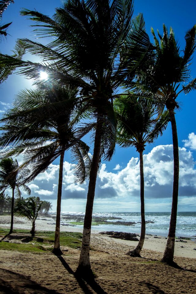 Free stock photo of beach, blue, clouds