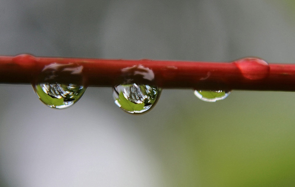 Raindrop drop of water close up photo