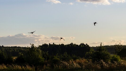 Free stock photo from Tookapic