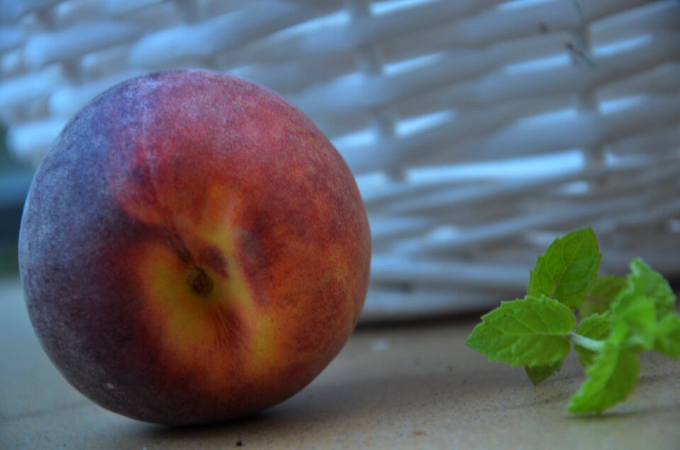 Free stock photo from Tookapic