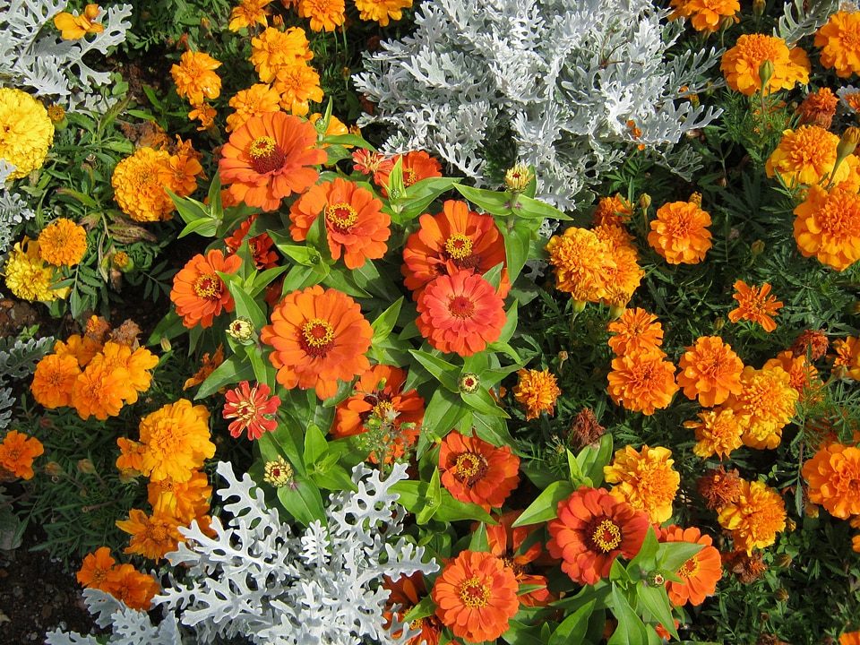 Discounts decoration decorative