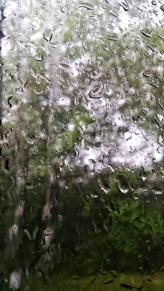 Free stock photo of drops, rain, storm
