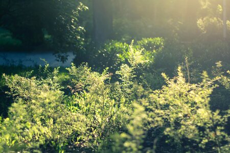 Free stock photo from Tookapic