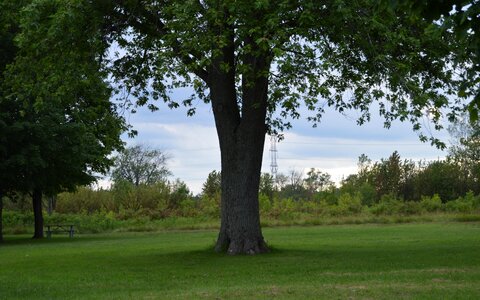 Free stock photo from Tookapic