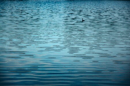 Free stock photo of water
