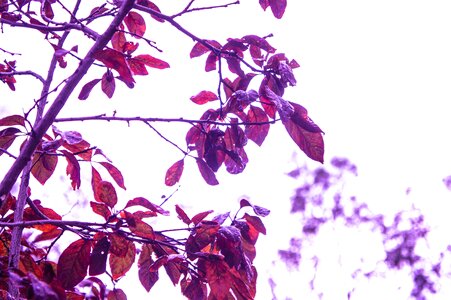 Free stock photo from Tookapic