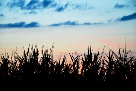 Free stock photo from Tookapic