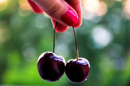 Free stock photo from Tookapic