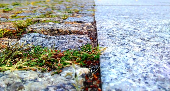 Free stock photo from Tookapic