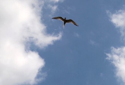 Free stock photo from Tookapic