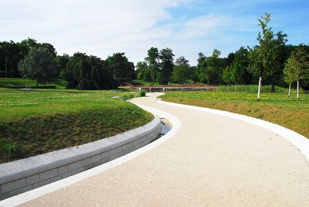 Free stock photo of park, summer