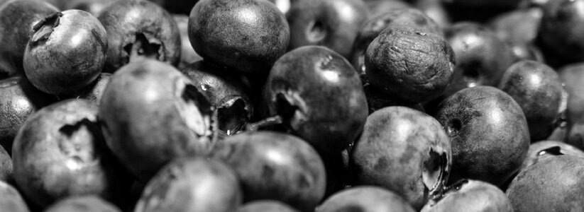 Free stock photo from Tookapic