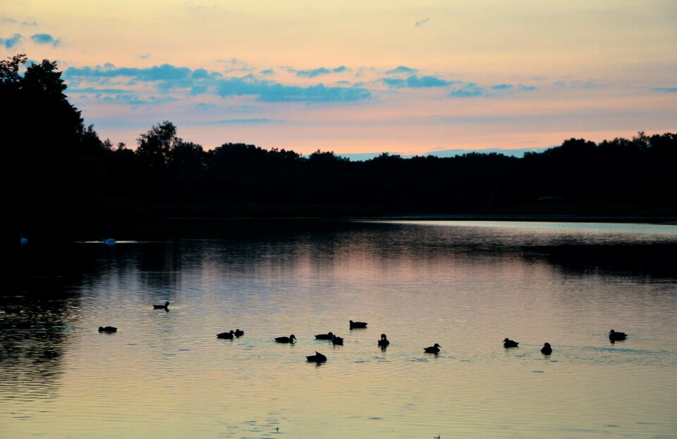 Free stock photo from Tookapic
