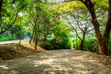 Free stock photo of daylight, hdr, light