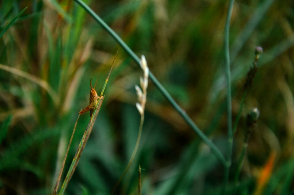 Free stock photo from Tookapic