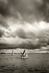 Free stock photo of sailing
