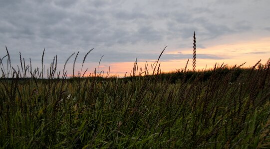 Green Grass Overlooking Sun Set on Horizon photo