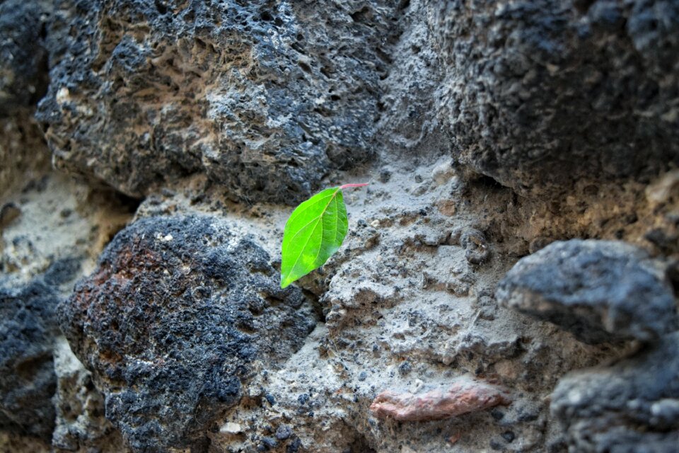 Free stock photo of lava, lava building, randazzo