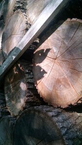 Free stock photo of nature, shadow, tree