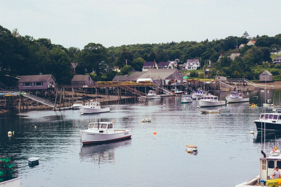 Free stock photo of boats, lobster, maine