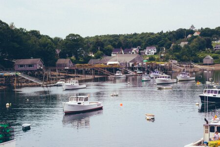 Free stock photo of boats, lobster, maine photo