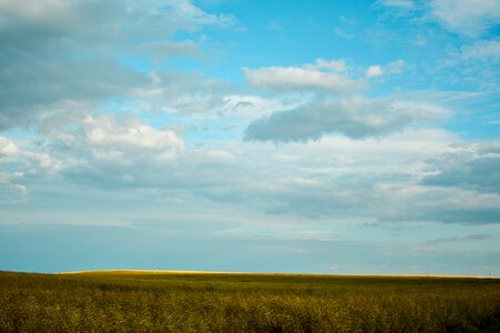 Free stock photo of agriculture, clouds, country photo