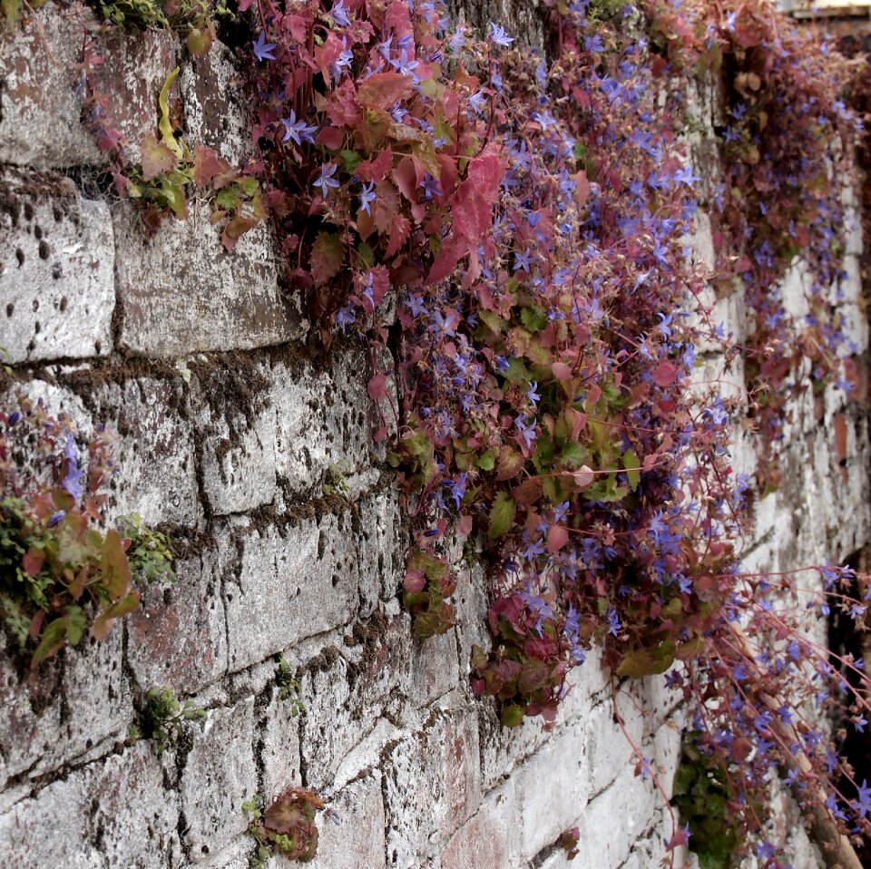 Free stock photo from Tookapic