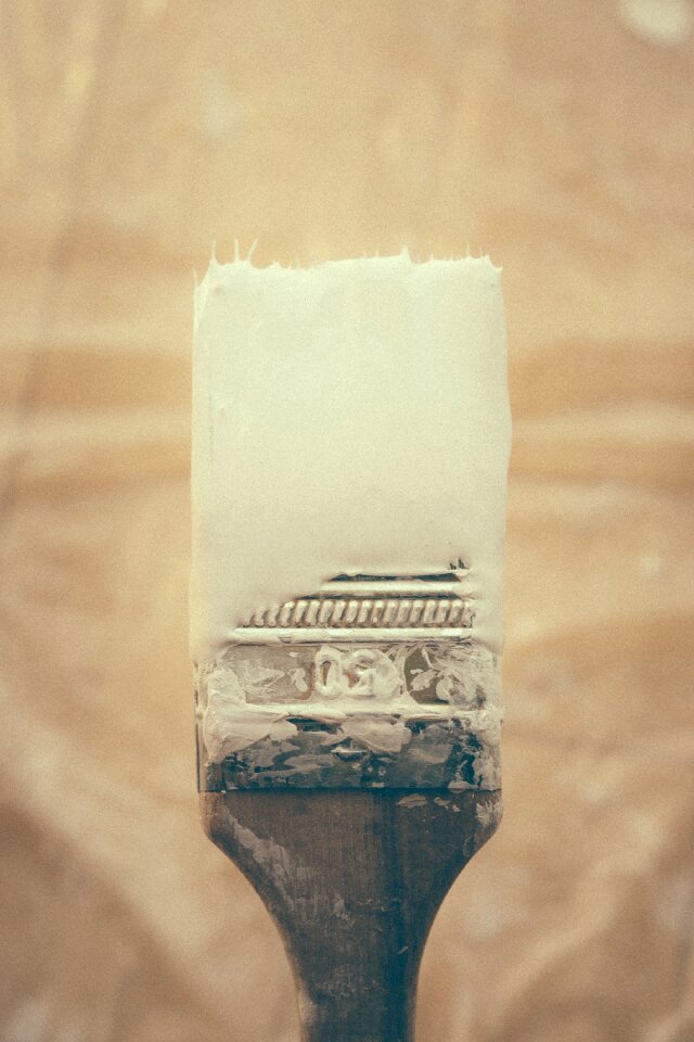 Free stock photo of brush, paint